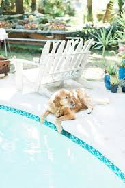 Disorganized Summer Cottage Summer Pool Party Pool Time