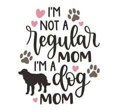 You Me And Benny In 2020 Dog Mom Quotes Dog Mom Mom Tumbler