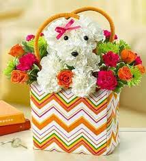 Send spring flowers from a real el paso, tx local florist. Heaven Sent Florist 6110 N Mesa Ste K El Paso Tx Gift Shops Florists 915 584 7330