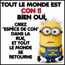 11232074 1463622957290139 7290227093631799736 N Jpg Blague Minion Blague Minion Humour
