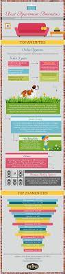 There Are Some Basic Amenities Which All Apartments Must Have To Offer The Customers When You Are Searching Cool Apartments Apartment Must Haves Infographic