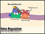 Worksheets are amoeba sisters answer key, amoeba sisters video recap alleles. Amoeba Sisters Handouts Science With The Amoeba Sisters