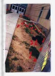 He is charged with 166 felonies and has pleaded not guilty by reason of insanity. My Case Files