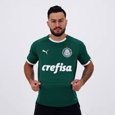 Após título da supercopa, elenco do flamengo comemora e provoca palmeiras (0:13). Puma Palmeiras Home 2019 Jersey Futfanatics