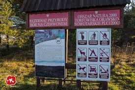 Spotkanie z mieszkańcami nowego targu 14 czerwca 2018r. Rezerwat Bor Na Czerwonem Torfowisko I Drewniane Kladki Kasai Podroze W Sieci