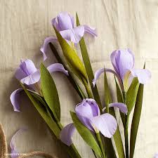 Purple passion stationery letterhead paper is made from a heavyweight 28lb bond stock for extra quality! Live Video How To Make A Crepe Paper Dutch Iris Lia Griffith