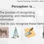 Visual perception ppt free download from slideplayer.com