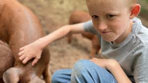 Arcadia Farmers Market General Store provides fresh meat, products