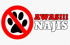 Apabila wadi terkena badan, maka cara membersihkannya adalah dengan dicuci. Tiga Hal Yang Tidak Boleh Terkena Najis