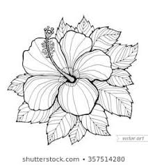 Hawaii Hibiscus Flower Leaf Aloha Hawaii Vector Floral Artwork Coloring Book Page For Adul Flower Coloring Pages Coloring Pages Inspirational Coloring Pages