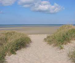 Cape Cod Beaches Information Addresses Directions On Cape Cod Beaches Cape Cod Beaches Beach Cape Cod