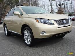 Image result for Golden Almond 2010 RX