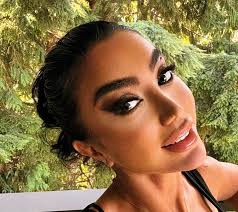 HOLLYWOOD NORTH: Vancouver Film Industry