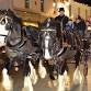 Newcastle Emlyn Victorian Evening event image