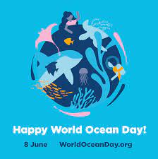 At the earth summit in 1992 held in rio de janeiro. World Ocean Day 2021 Tauchen De