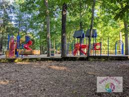 With the weather being overcast and uncertain we needed to find another indoor place to romp around. Cedar Hills Park Raleigh Tot Spots