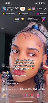 What Happened with Vanessa and Linnette