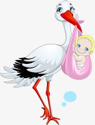 الملايين من Png الصور والخلفيات والمتجهات للتحميل مجانا Pngtree Baby Clip Art Baby Cartoon White Crane