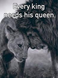 Every Queen Needs A Lion King Quotes Quotesgram Lion Love Lion Quotes Lion Couple