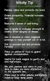 Pin By Cosmo Hippie Art On Witch Herbs Magick Witchcraft Witchy