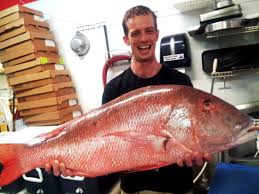 Florida offers an abundance of taco joints where you can get the perfect combination of seasoned meat, fresh salsa, and flavorful cheese. Local Fresh Seafood Beachside Seafood Restaurant Market