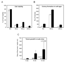 Here are all the possible meanings and translations of the word cell transformation, viral. Cell Viability And Transformation Assays A Cell Viability Of Primary Download Scientific Diagram