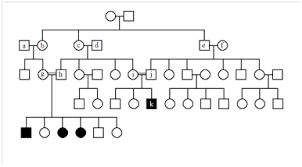 5 E Pedigrees And Populations Exercises Biology Libretexts