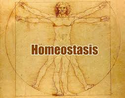 Why Homeostasis Is Important? | Examples of Homeostasis