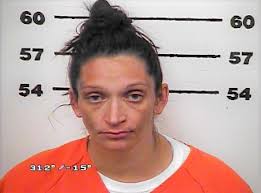 Hawkins woman pregnant with twins faces DUI, meth, child endangerment  charges
