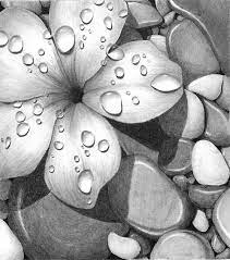 The pen and ink experience the pen and ink experience is a comprehensive drawing course designed to guide absolute beginners to a level of producing professional quality pen and ink drawings. Bildergebnis Fur Realistische Zeichnungen Von Blumen Blumen 2 0 Bildergebnis Blumen Beautiful Flower Drawings Pencil Drawings Of Flowers Flower Sketches