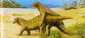 Image result for Toddaliopsis