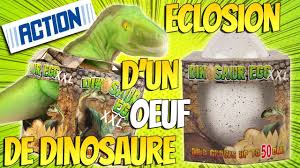 La chasse au trésor la plus simple. Oeuf De Dinosaure Xxl A Faire Eclore De Chez Action T Rex 50 Cm Super Heros Et Compagnie Unboxing Youtube