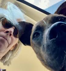 In photos: Humane Society Naples' Rescue Recess program