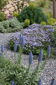 Mediterranean Dry Gravel Garden Greece Katerina Georgi Kiesgarten Garten Mediterraner Garten