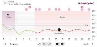 Image result for Anovulation