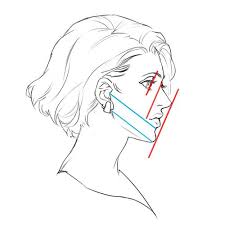 線を使ってゆがみをチェック バランス良く顔を描く５つのポイント いちあっぷ face drawing drawing heads art reference photos