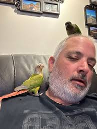 Introduction of Guinea Pig Pets in Southington