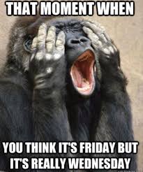 30 Really Funny Wednesday Memes To Get You Through The Week Sayingimages Com The images are collected from legal sources and you can use funny wednesday meme images for whatsapp and happy wednesday morning. 30 really funny wednesday memes to get