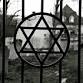 Auschwitz: A Week of Immersion event image