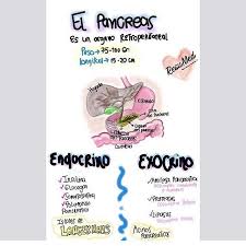 Resumed By Mc Dra Mariamonica Fotos Y Videos De Instagram Memes Ecard Meme Ecards