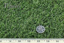 For a tough, durable lawn, look no further than tifway 419 bermuda. West Coast Turf Tifway 419 Warm Season Grass Socal