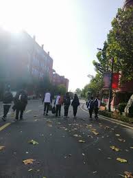 女神脸妹子激情自慰怀疑逼都被自己玩肿了非原创- 亚色影库