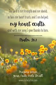 Gossip makes us feel better about ourselves because we get to revel in the fact that other people have problems too. Pin On Psalms Proverbs