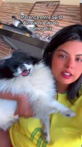 Os vídeos de Lara Gomes (@larigomeslima) com som original