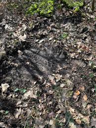 Image result for site:byggahus.se fyrkantig