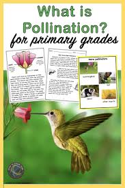 Check spelling or type a new query. Pollination For Kids Pollination Pollination Activity Science Lesson Plans