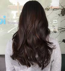 Can i dye my black hair with food coloring? Black Hair With Subtle Brown Balayage Rich Brown Hair Dark Chocolate Hair Color Rich Brown Hair Color