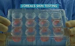 L Oreal Grows Human Skin To Replace Animal Testing Care2 Causes Care2 Cruelty Free Brands Innovative Ideas Products Loreal