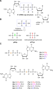 We looked at the top 10 carbon monoxide detectors and dug through the reviews from 53 of the most popular review sites including and more. Mrna Cap Analogues Substituted In The Tetraphosphate Chain With Cx2 Identification Of O To Ccl2 As The First Bridging Modification That Confers Resistance To Decapping Without Impairing Translation Abstract Europe Pmc