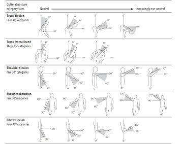 Kinematic posture risk categories based on angular thresholds., AI generated